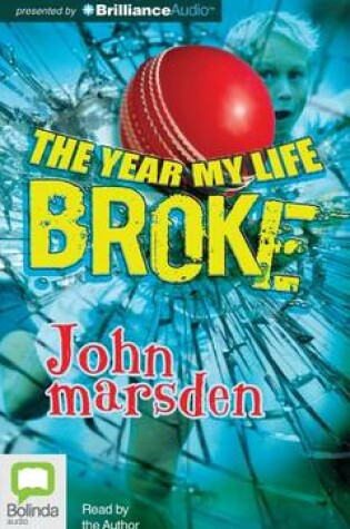 Cover of The Year My Life Broke