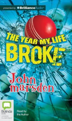 Book cover for The Year My Life Broke