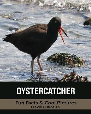 Book cover for Oystercatcher