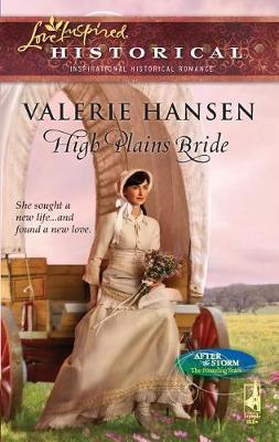 Book cover for High Plains Bride