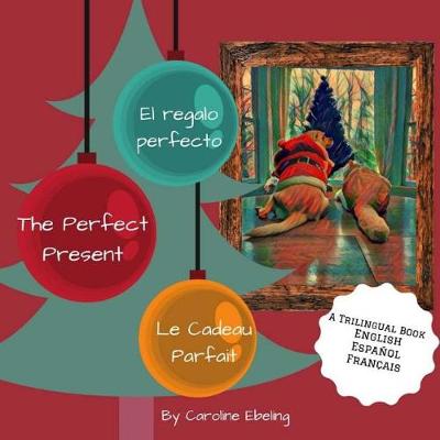 Book cover for The Perfect Present