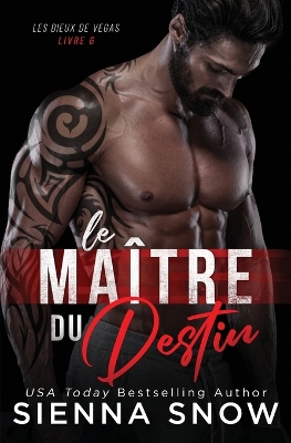 Book cover for Le Maitre du Destin