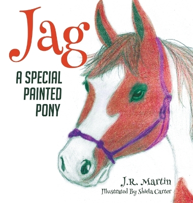 Book cover for Jag