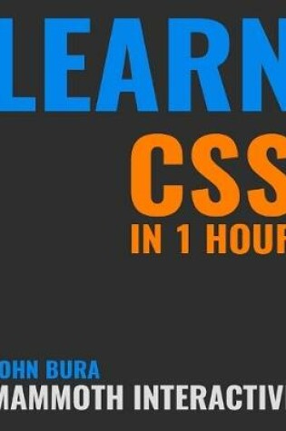 Cover of Learn Css In 1 Hour