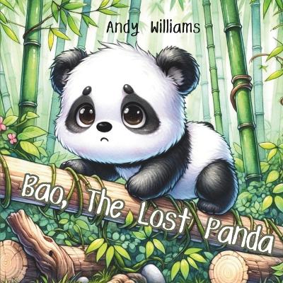 Cover of Bao, The Lost Panda