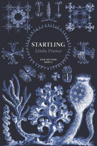 Cover of Startling