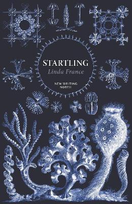 Book cover for Startling
