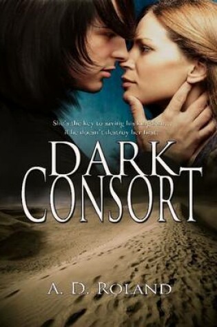 Cover of Dark Consort