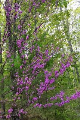 Cover of 2019 Weekly Planner Early Spring Lilac Branches 134 Pages