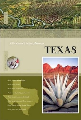 Book cover for Texas