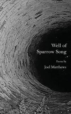 Book cover for Well of Sparrow Song