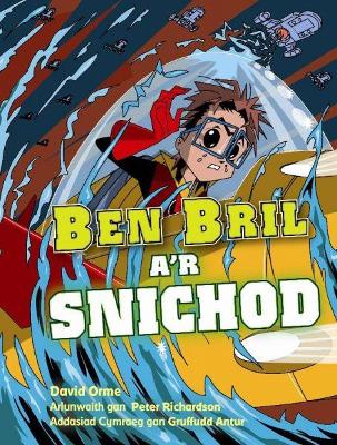 Book cover for Ben Bril a'r Snichod