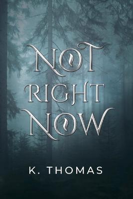 Book cover for Not Right Now
