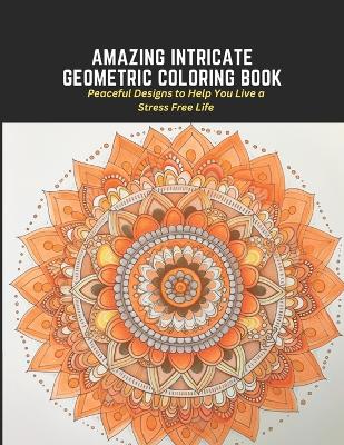 Book cover for Amazing Intricate Geometric Coloring Book