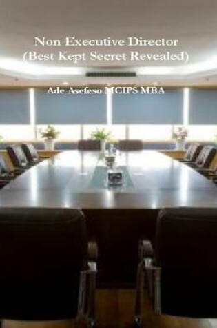 Cover of Non Executive Director (Best Kept Secret Revealed)