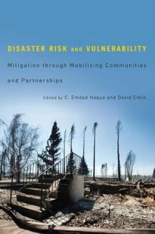 Cover of Disaster Risk and Vulnerability