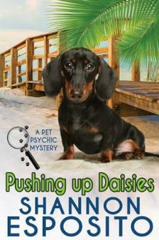 Cover of Pushing Up Daisies