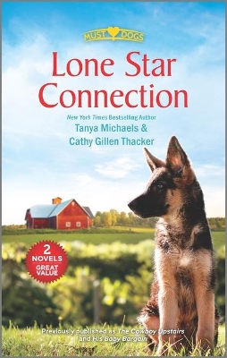 Book cover for Lone Star Connection