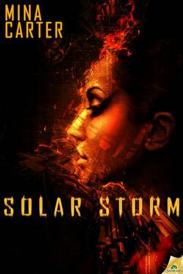 Book cover for Solar Storm