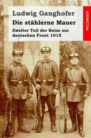 Cover of Die stahlerne Mauer