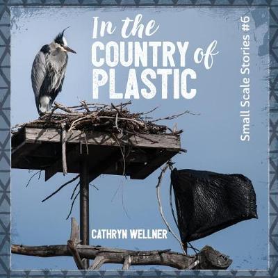 Book cover for In the Country of Plastic