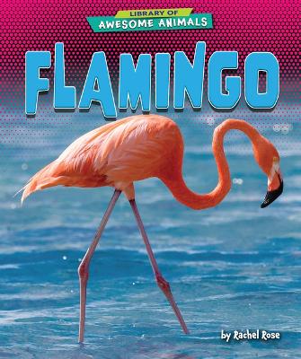 Book cover for Flamingo