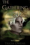 Book cover for The Gathering Storm