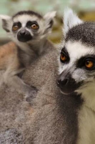 Cover of Mama and Baby Ring Tailed Lemurs Journal
