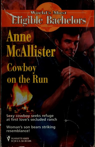 Book cover for Cowboy On The Run