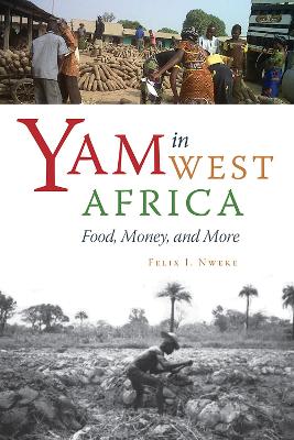 Book cover for Yam in West Africa