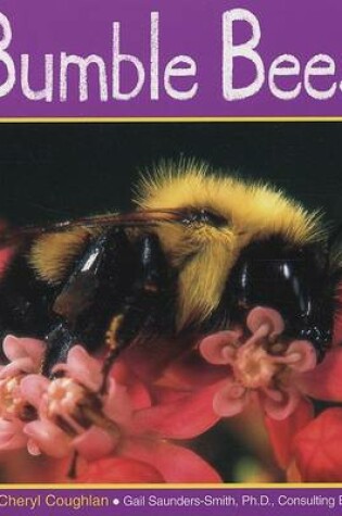 Cover of Bumble Bees