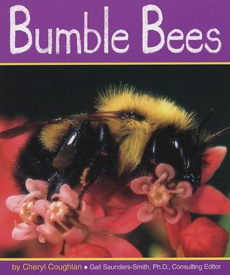 Cover of Bumble Bees