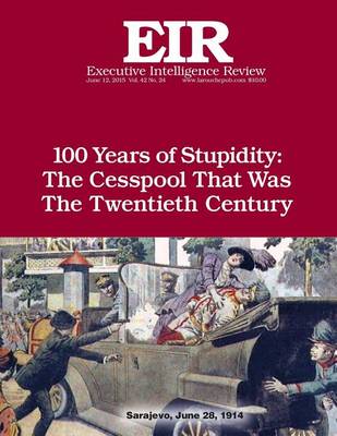 Book cover for 100 Years of Stupidity
