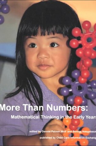 Cover of More Than Numbers