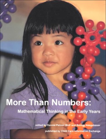 Book cover for More Than Numbers