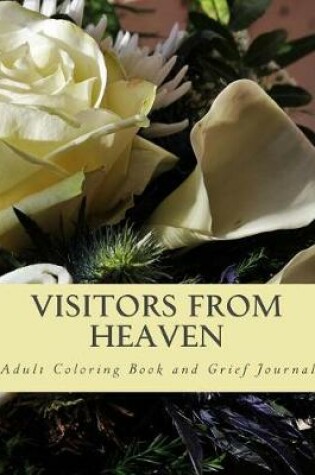 Cover of Visitors From Heaven