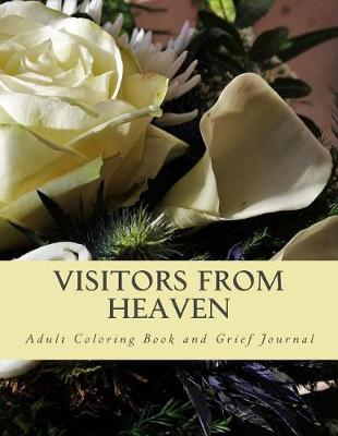 Book cover for Visitors From Heaven