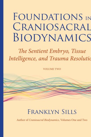 Cover of Foundations in Craniosacral Biodynamics, Volume Two