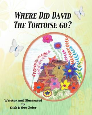 Book cover for Where Did David The Tortoise Go?