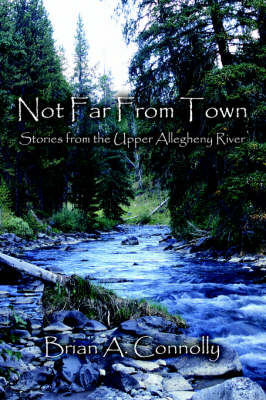 Book cover for Not Far From Town