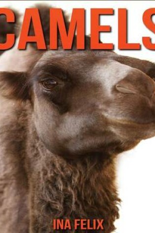 Cover of Camels