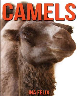 Book cover for Camels