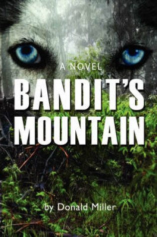 Cover of Bandit's Mountain