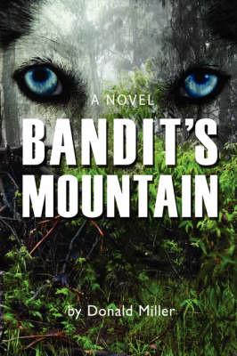 Book cover for Bandit's Mountain
