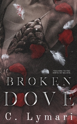 Book cover for Broken Dove