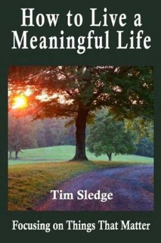 Cover of How to Live a Meaningful Life