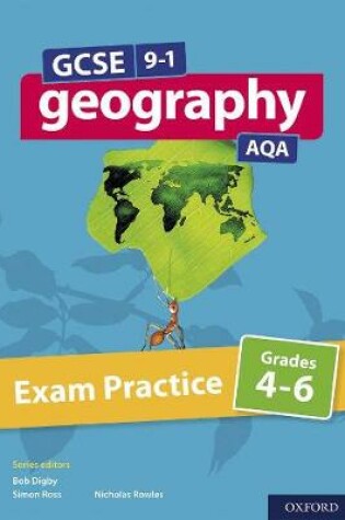 Cover of Exam Practice: Grades 4-6