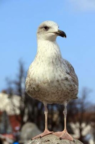 Cover of Seagull Bird Journal