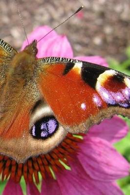 Book cover for The Peacock Butterfly Notebook