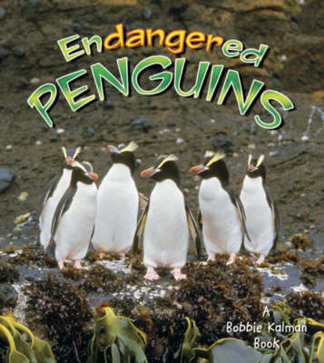 Book cover for Endangered Penguins